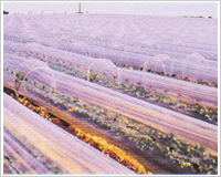 多功能反光（調光）地膜